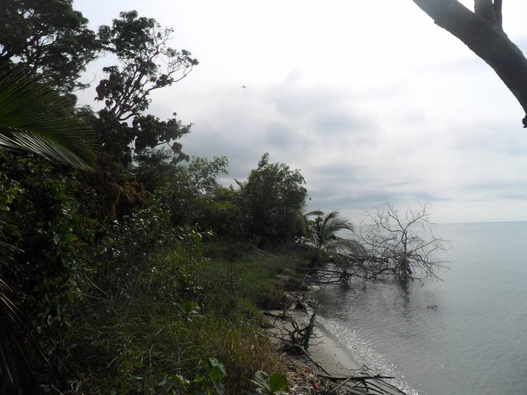 listing image with ID 82841