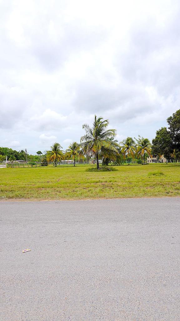 listing image with ID 94210