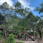 listing image thumbnail with ID 96233