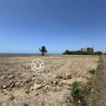 listing image thumbnail with ID 94725