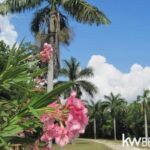 listing image thumbnail with ID 107334