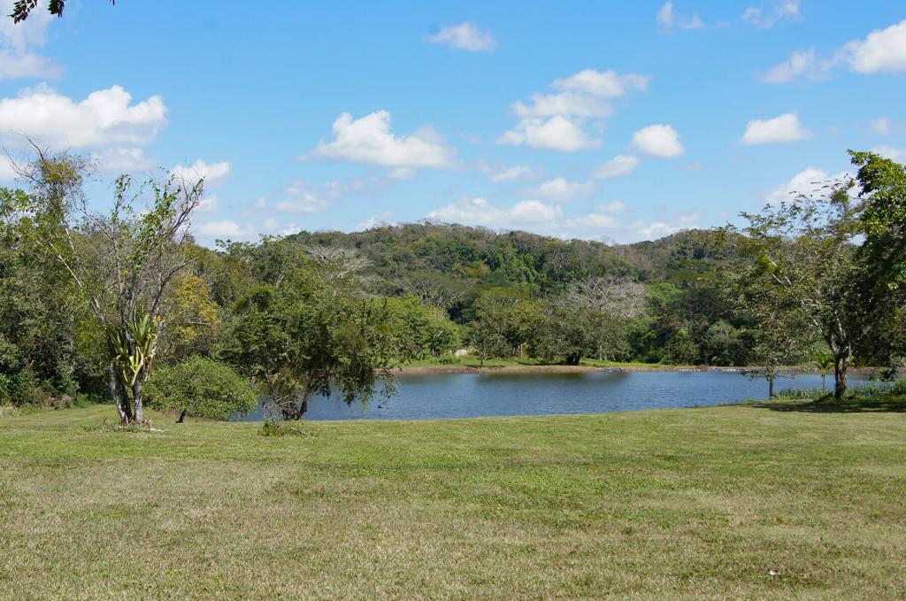 listing image with ID 95465