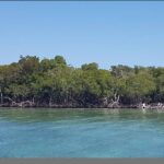 listing image thumbnail with ID 102920