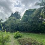 listing image thumbnail with ID 98549