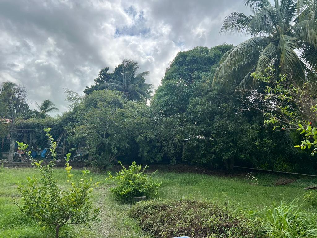 listing image with ID 98549