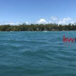 listing image thumbnail with ID 80296