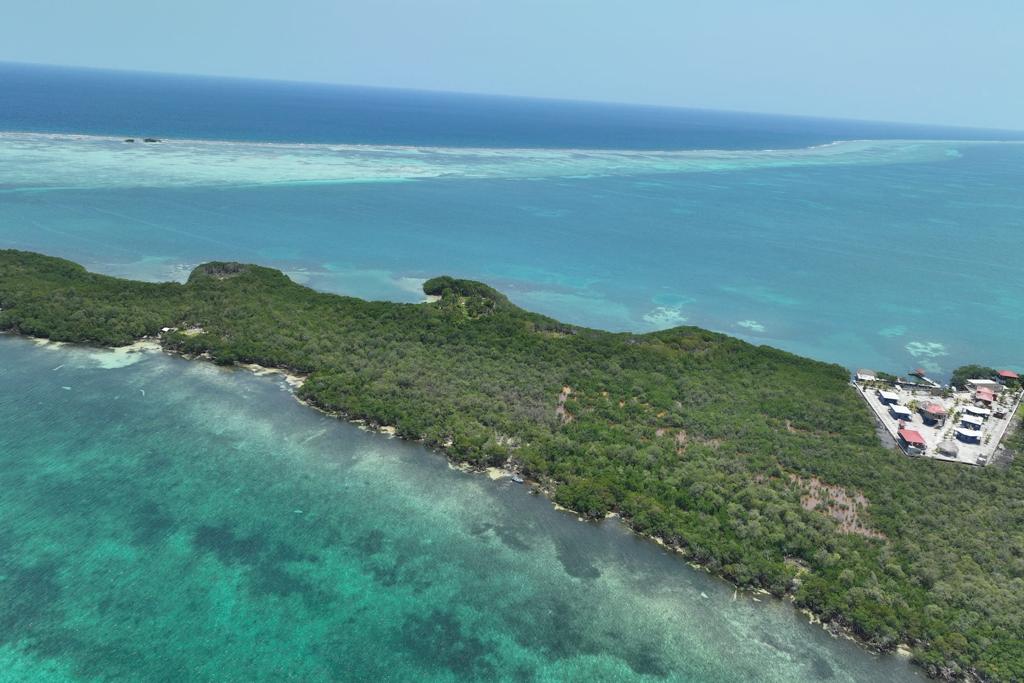 listing image with ID 97202