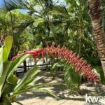 listing image thumbnail with ID 100664