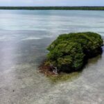 listing image thumbnail with ID 100718