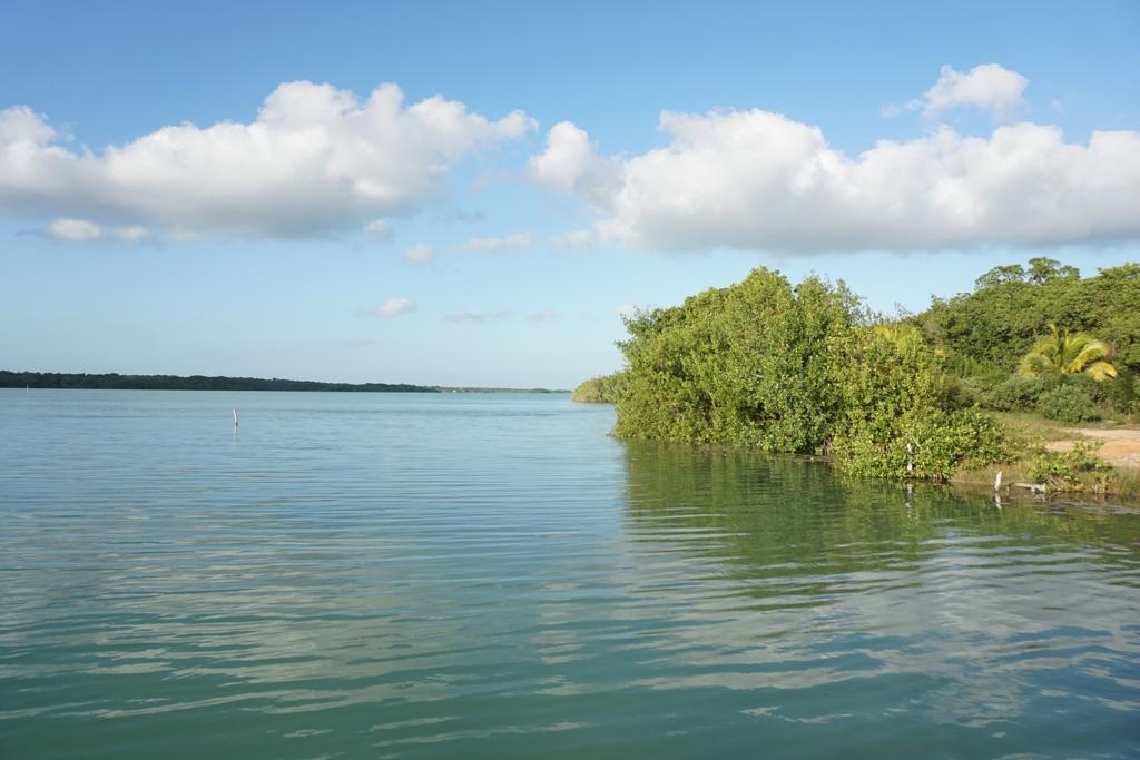 listing image with ID 100952
