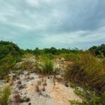 listing image thumbnail with ID 91338