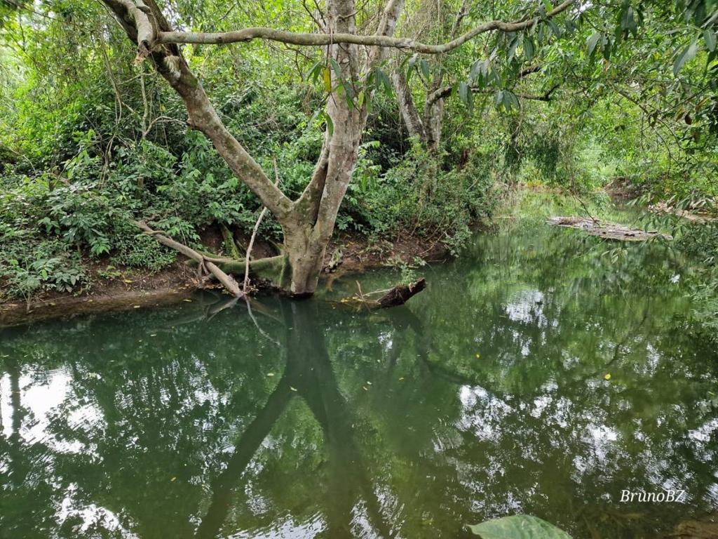 listing image with ID 103862