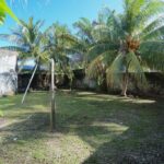 listing image thumbnail with ID 106650