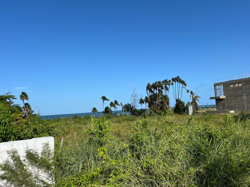 listing image with ID 87943