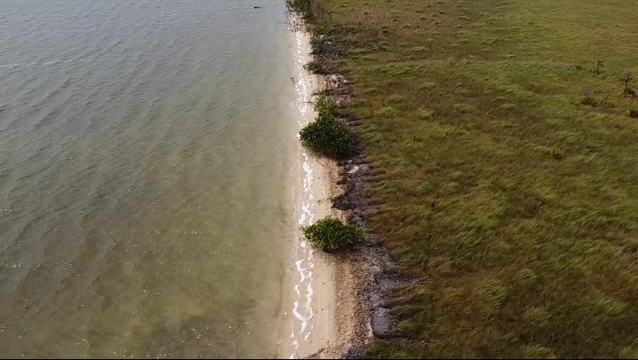 listing image with ID 103673