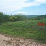 listing image thumbnail with ID 83474
