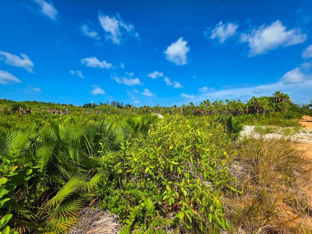 listing image with ID 107782