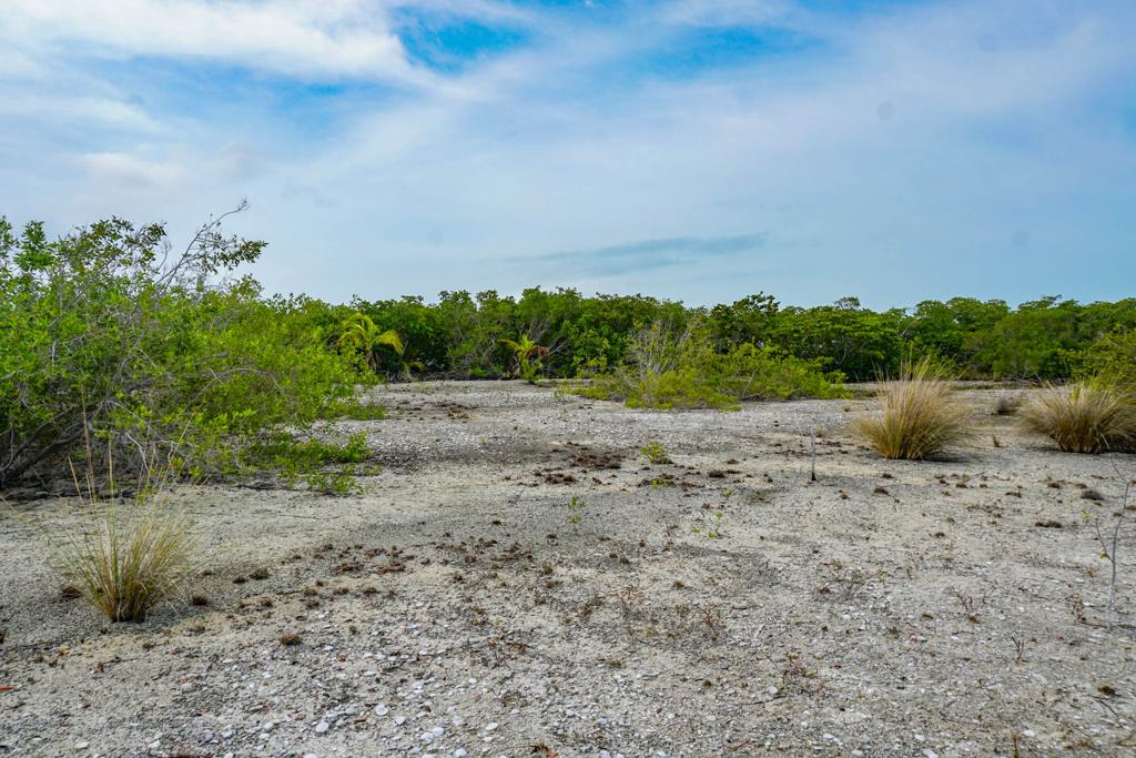 listing image with ID 74669