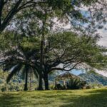 listing image thumbnail with ID 74519