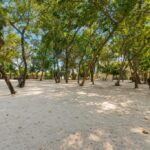 listing image thumbnail with ID 109029