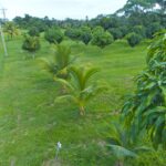 listing image thumbnail with ID 75803