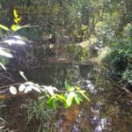 listing image thumbnail with ID 93579
