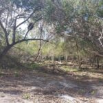 listing image thumbnail with ID 84511