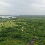 listing image thumbnail with ID 82895