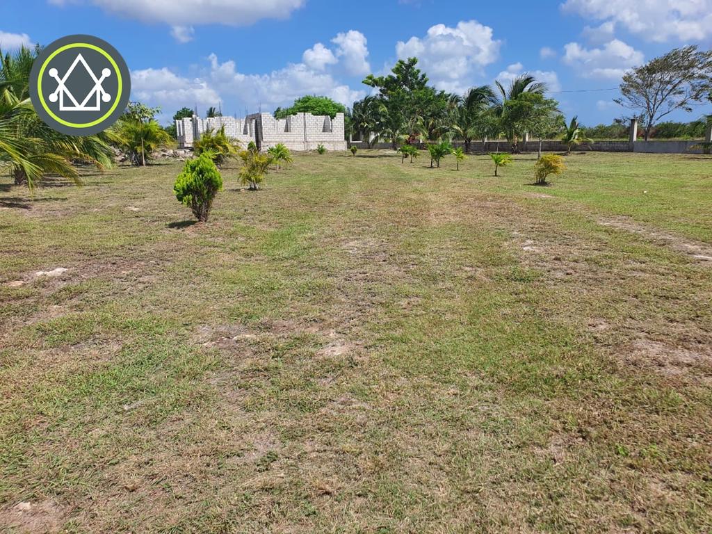 listing image with ID 81139