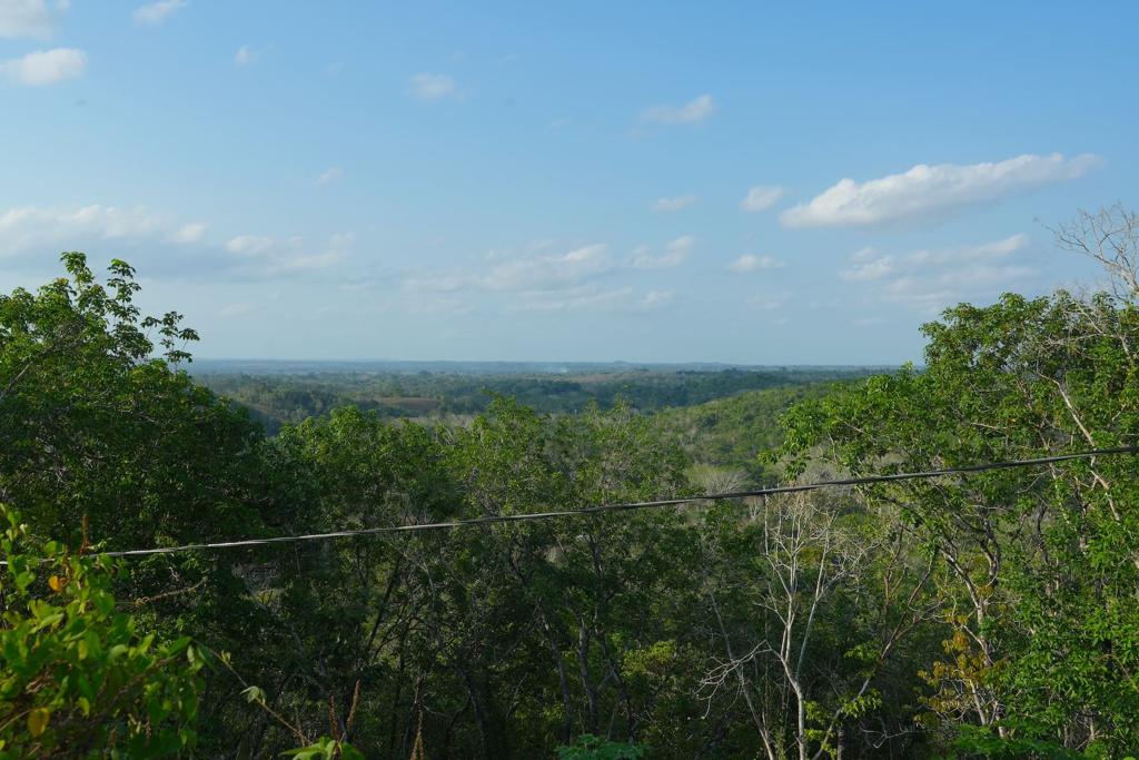 listing image with ID 90805