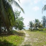 listing image thumbnail with ID 84706