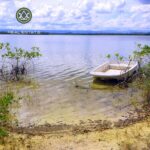listing image thumbnail with ID 107113