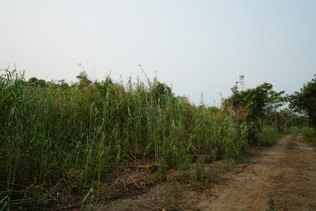 listing image with ID 105740