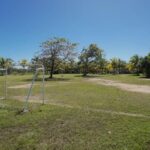 listing image thumbnail with ID 88117