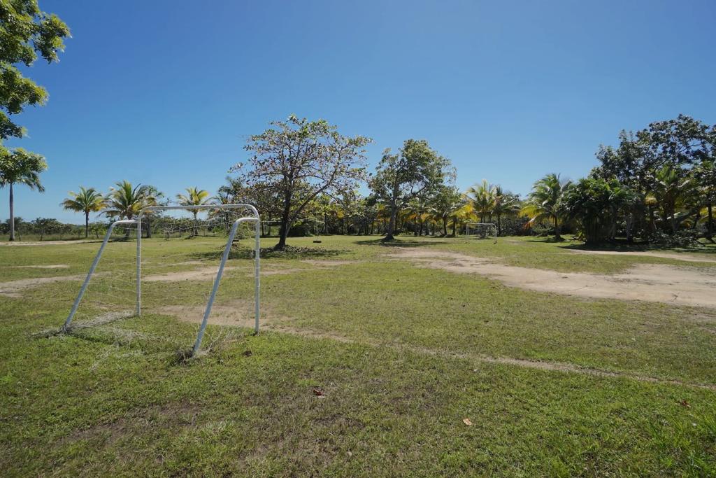 listing image with ID 88117