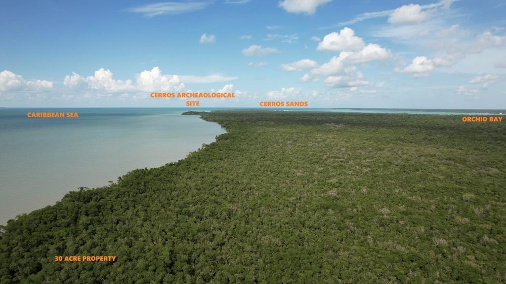 listing image with ID 94109