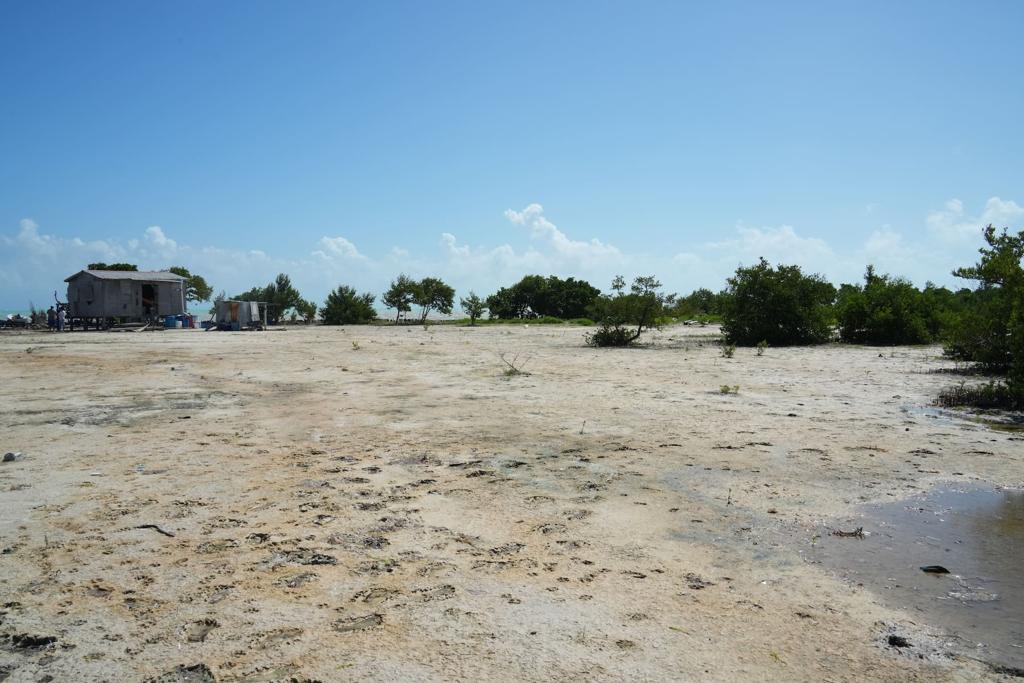 listing image with ID 88522