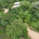 listing image thumbnail with ID 95451