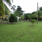 listing image thumbnail with ID 104856
