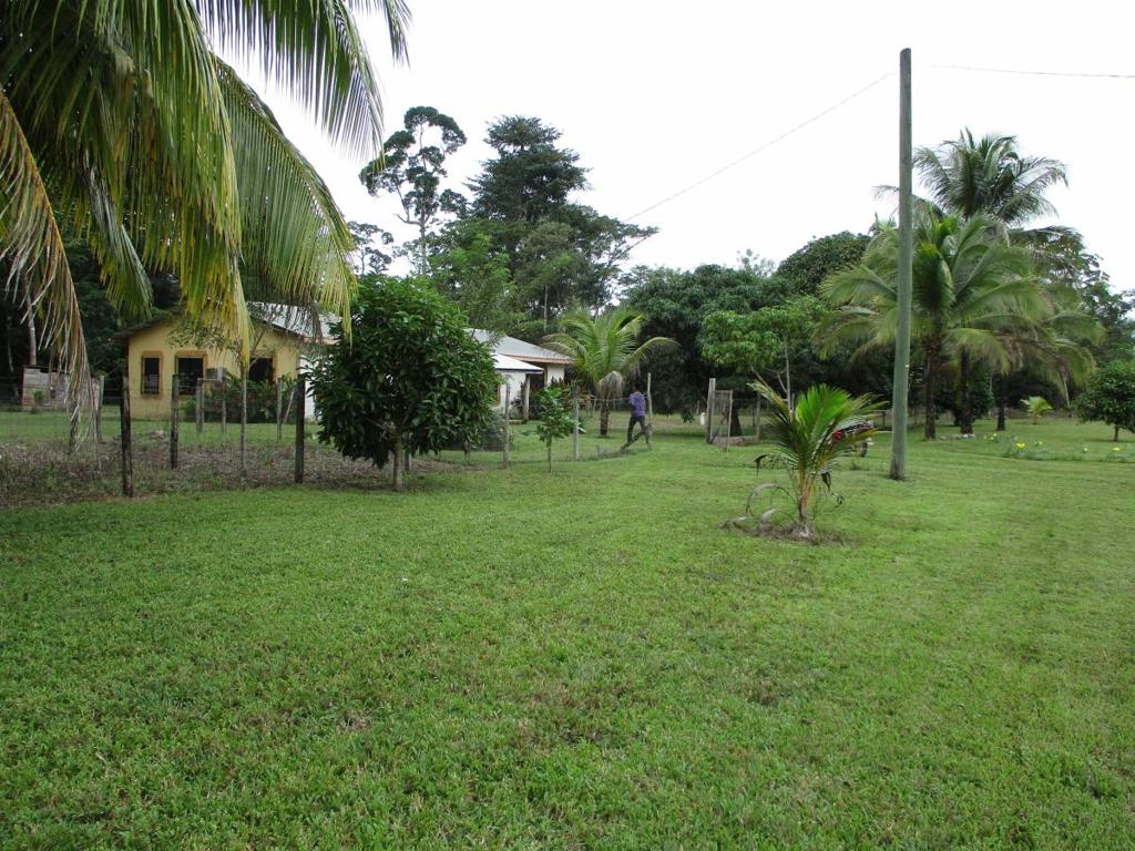 listing image with ID 104856
