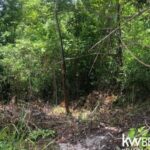 listing image thumbnail with ID 94452