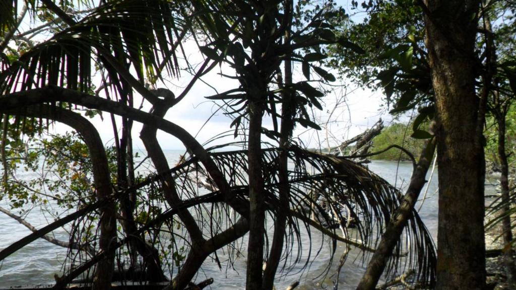 listing image with ID 82831