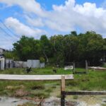 listing image thumbnail with ID 91632