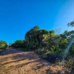 listing image thumbnail with ID 105413