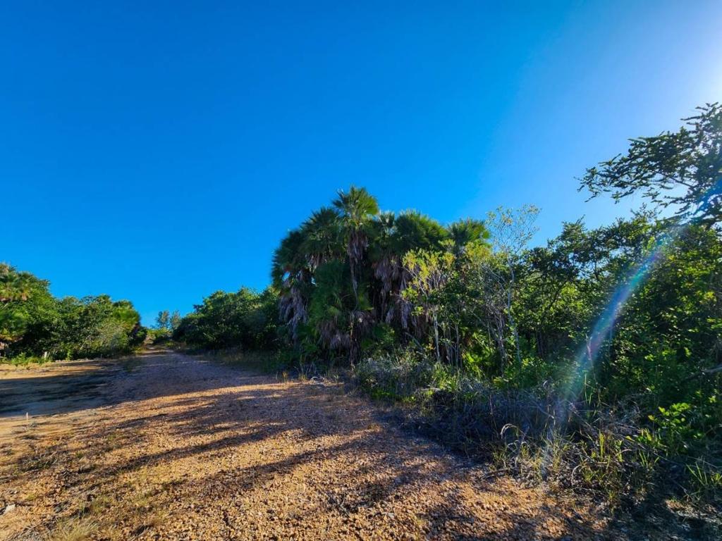 listing image with ID 105413