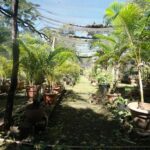 listing image thumbnail with ID 88133