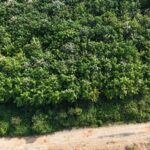 listing image thumbnail with ID 106915