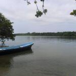 listing image thumbnail with ID 82849