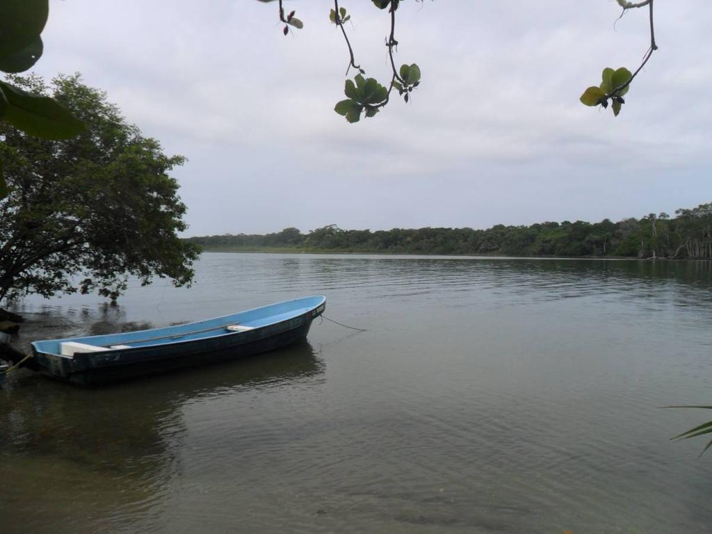listing image with ID 82849