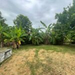 listing image thumbnail with ID 88850